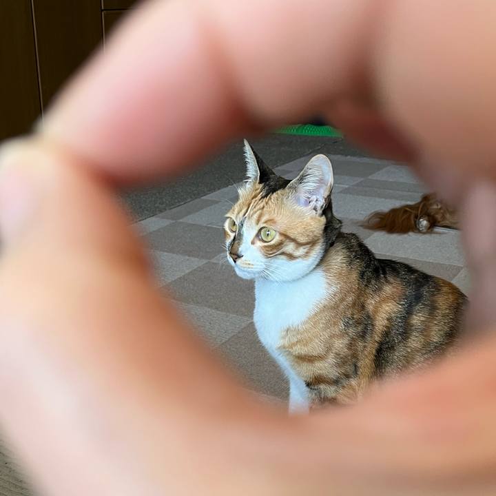 715755ba 9543 4614 8dfc 00dba04835ce 1747779698533