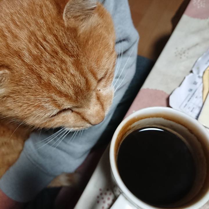 715756d7 6bea 48b3 a573 15bd1f3f5167 1608581369343