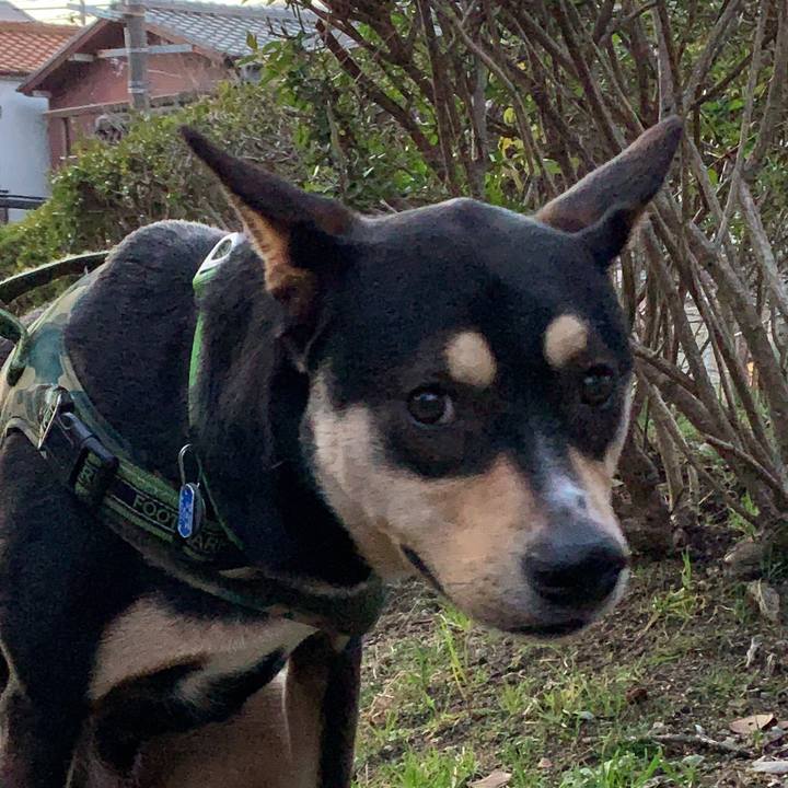 71577fd5 a92f 49d8 b64f 7e4d54511427 1551693496672