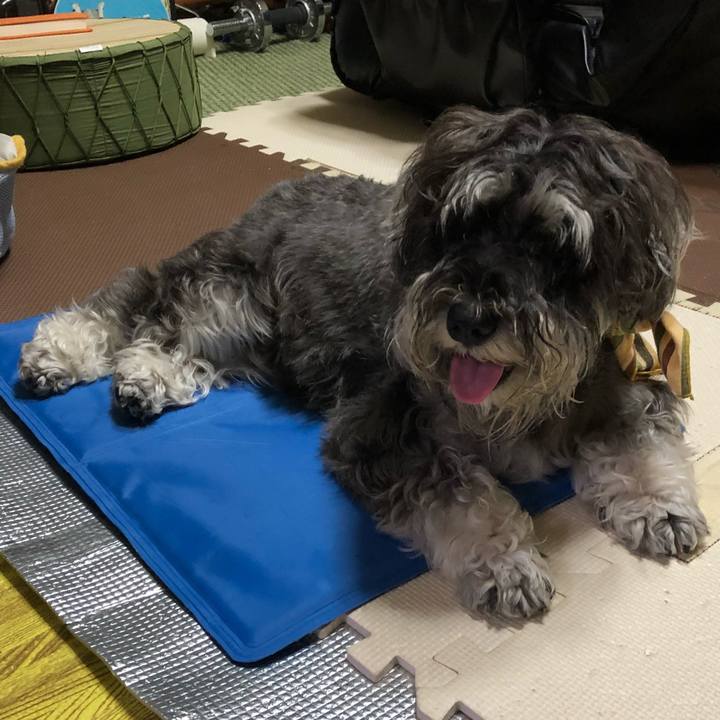 7157e5d2 79f4 4932 b53f b6c53f2d23af 1532007688687