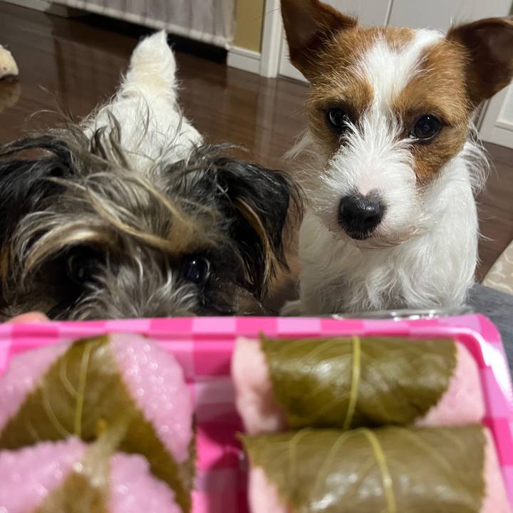 7157fe45 9555 4814 9b54 5c5a2f158cde 1772588075877