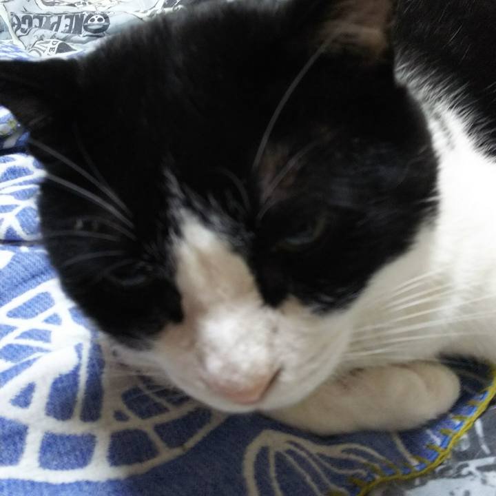 71580f5c 3b50 4f3c b893 4b9c0a6758f1 1528234994296