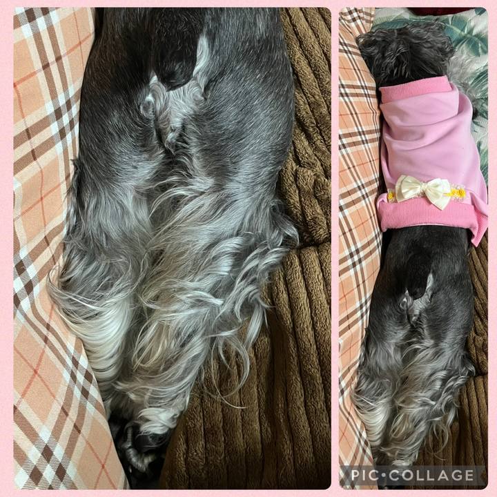 71581275 4320 4ae7 aee0 27887b1b2123 1746885728932