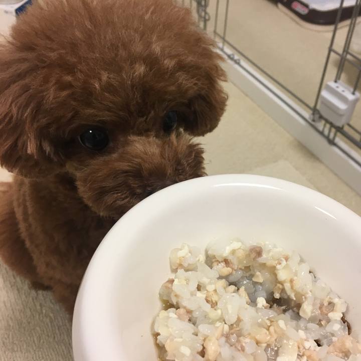 715828e8 9049 43cb 9c5f 42724c254016 1550448713006