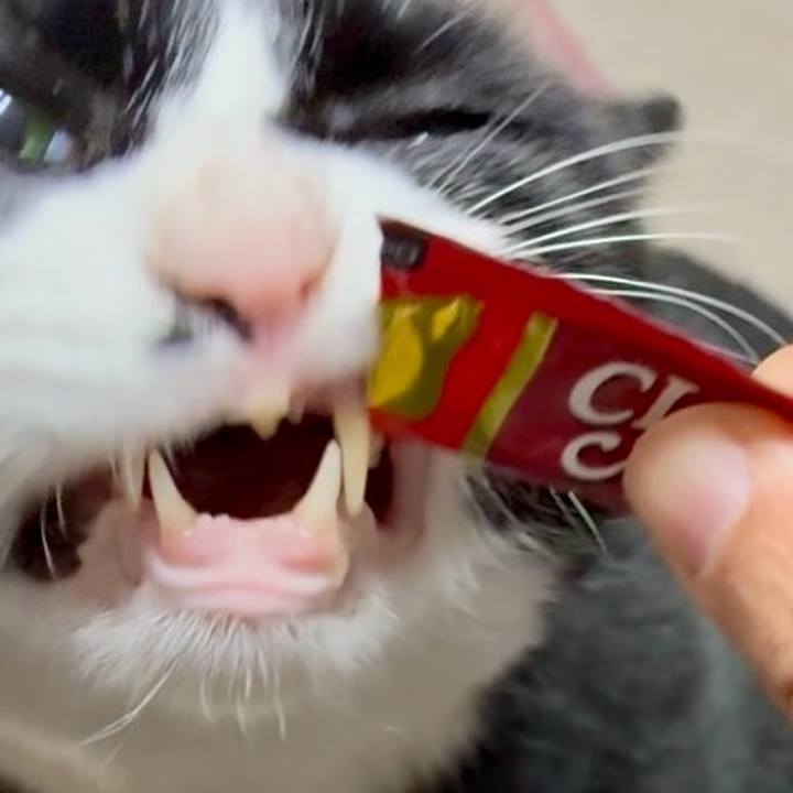 71583e99 5875 4c80 9ca3 14367e2a1de5 1768448745440