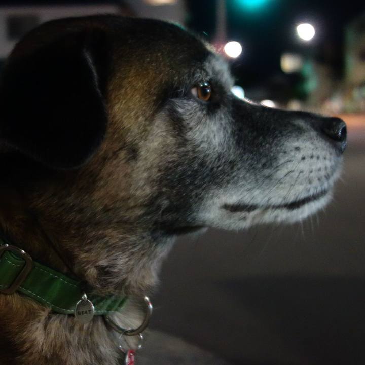 71584b57 41d2 4872 8ad2 20526e4e5b55 1620885311510