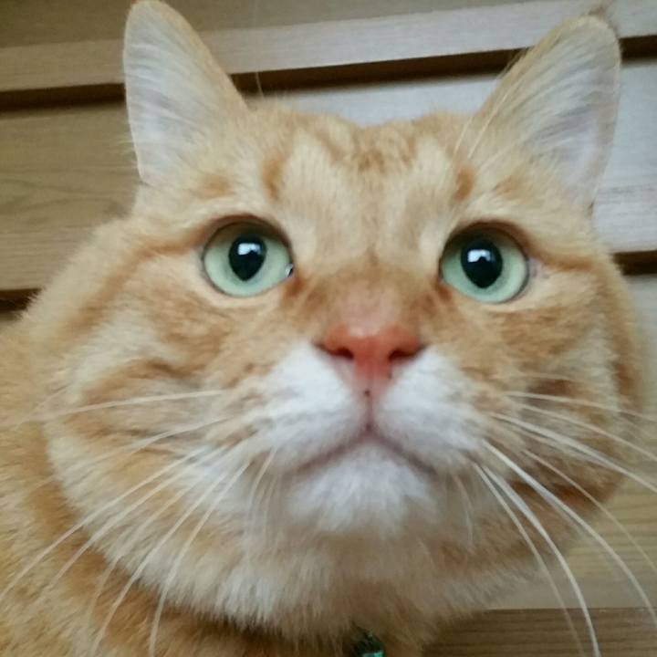 71587112 c8b2 4be0 99b5 d8b75172363b 1512721216221