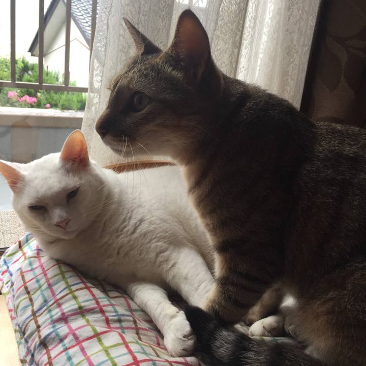 715887db 90c7 4bd4 a600 3f0f4ac8dd11 1567030292794