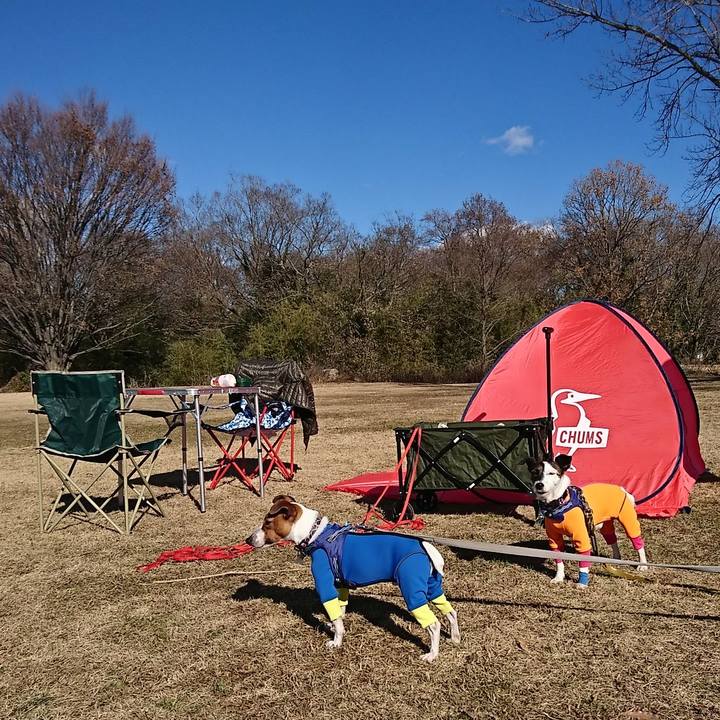 71589d46 7abc 4eba 89ed 3b014a2d7249 1546070848404