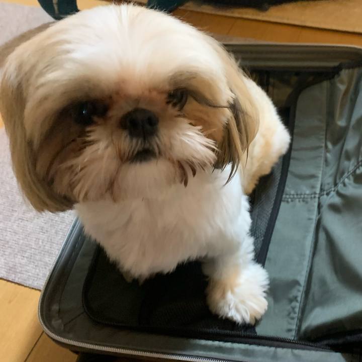 7158aa01 c2ee 4249 97d0 36e6c7969a3d 1662290650585