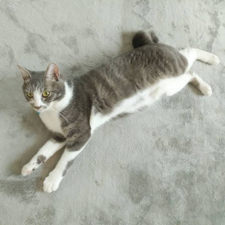 7158d09c 46c1 4b36 adca e0b104777844 1589584246138