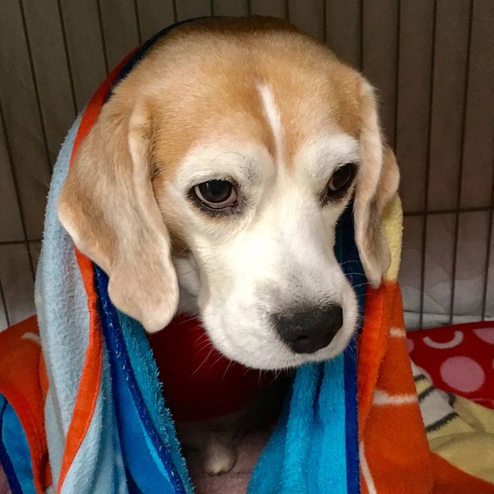 7158f1a7 5ff6 4dc4 84c7 3bf15b711ece 1544500646322