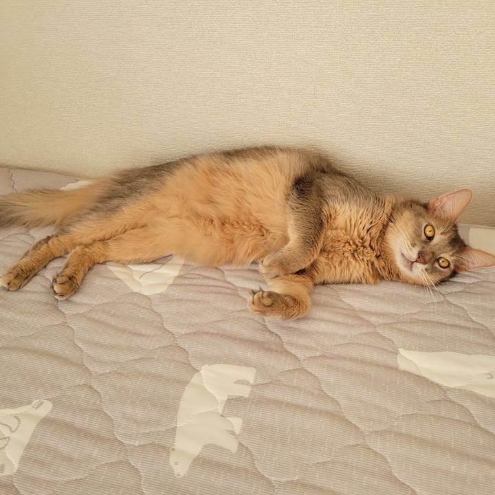 71590b35 c349 43e5 83a0 e2e626bbb44c 1695983980033