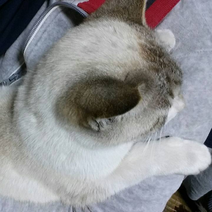 71590ffc 0db7 4ff3 8079 a8e09636fcf2 1520779187525