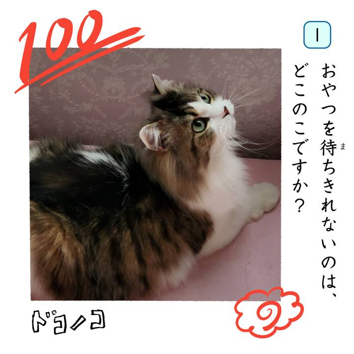 71592312 555e 48cc b8c2 5a8a173cdf48 1744289265346