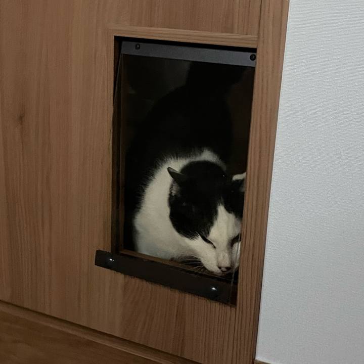 71593016 8ae6 49c6 a9b4 b27d25395e32 1657560294321