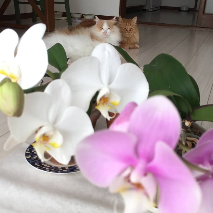 715931c7 a0a4 4b9d a081 594c2582f700 1527886818951