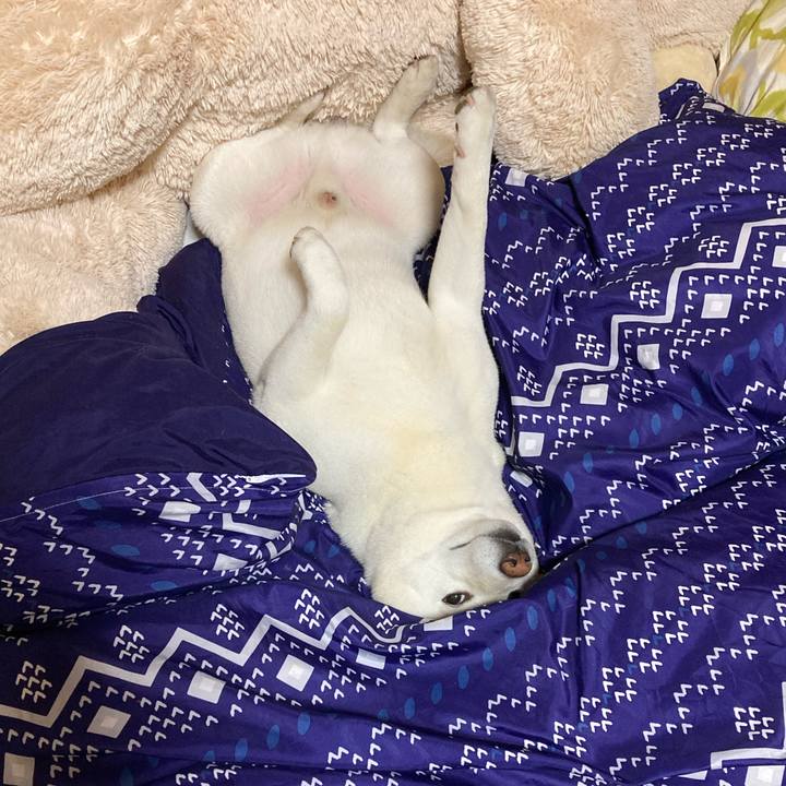 71595ee5 ca76 46ac 8279 ad38f97d98ac 1621083456203