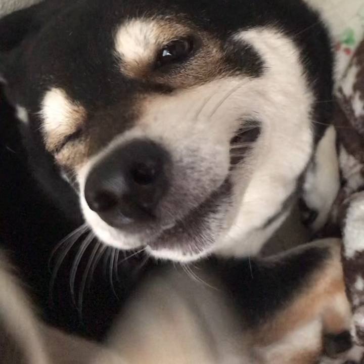 7159785c 4ba5 4751 9233 210b8507e970 1556459035081