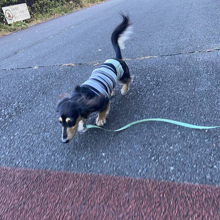 7159c344 1496 4b15 b0b8 e7373155fed0 1730845221470