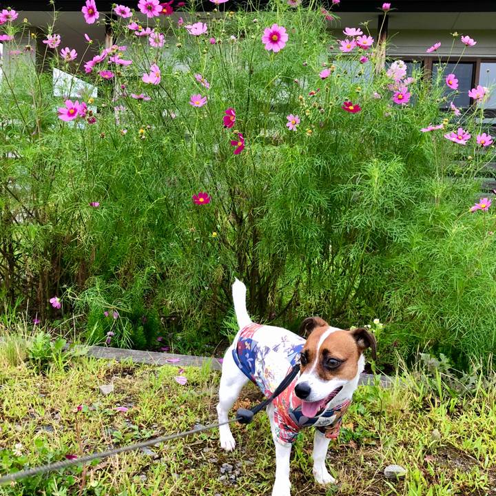 7159cccc 14e9 40db 9eac 4b7a5430e3bb 1596880260754