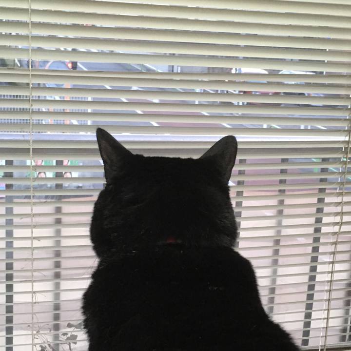 7159d912 c8f2 4749 95a3 a08cf5f16fba 1546328538173