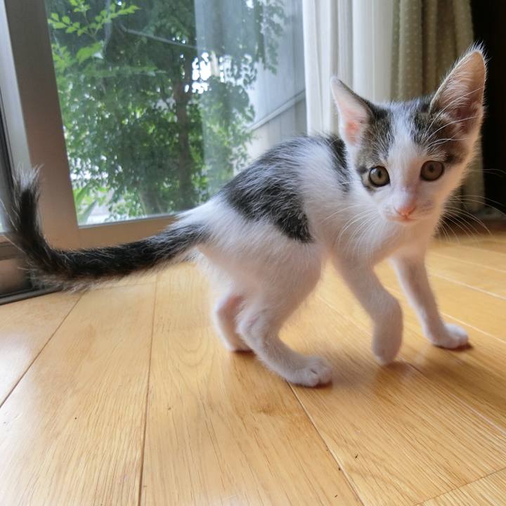 715a0390 190b 4e05 8eaa d255c320a9ac 1561518640174