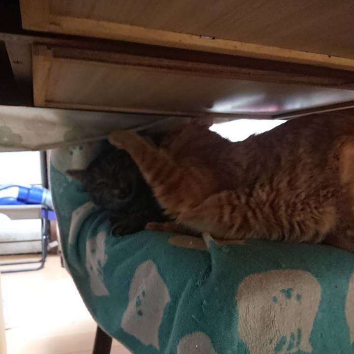 715a0710 af74 42c5 8873 721cf78933b5 1654900637706