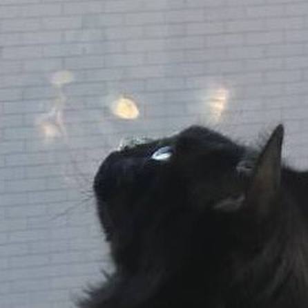 715a2a2f 0d25 43bf 841d 31398599c08b 1511056819416