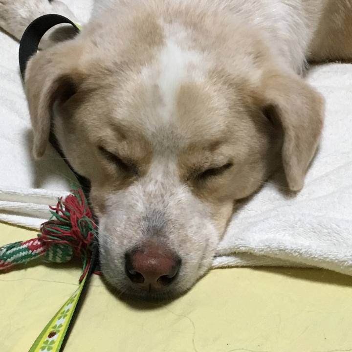 715a318e e1e6 4d1b 93cf f917821cb066 1530113849137