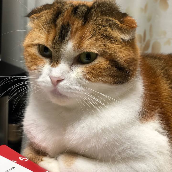 715a45b5 b5ee 471f abfb 1d7dc49e1ca0 1574410979662