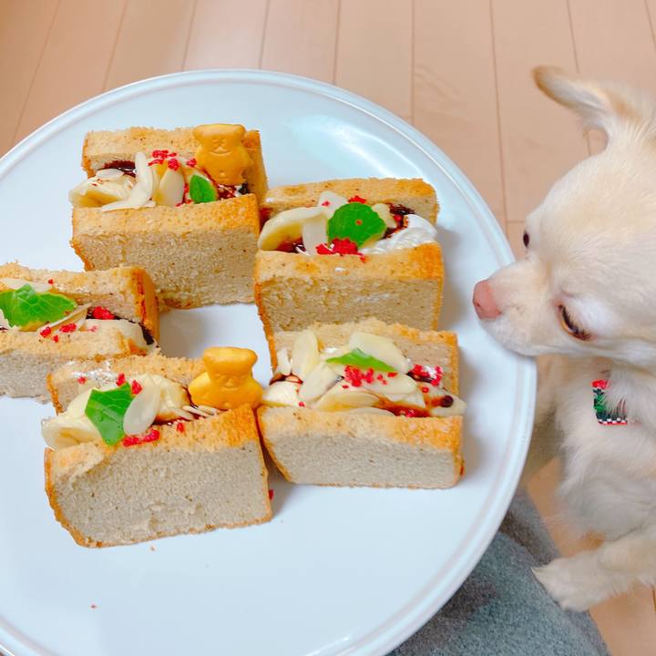 715a54dc 5d4f 4864 b55d 7836792f9844 1644754687825