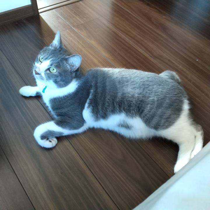 715a76bd 77f1 44ca 97a7 2ce9267df2f5 1632017028697