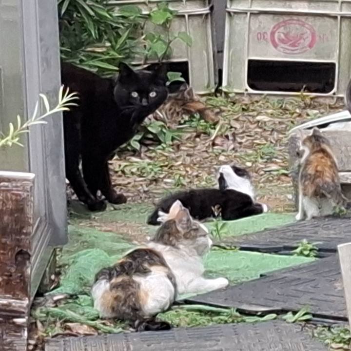 715ab1b4 13e4 453e aeeb 4377a4b385be 1749791322437