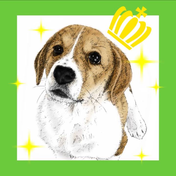 715adb57 5d69 4fed a32d 3d25cd47a46a 1592448007948