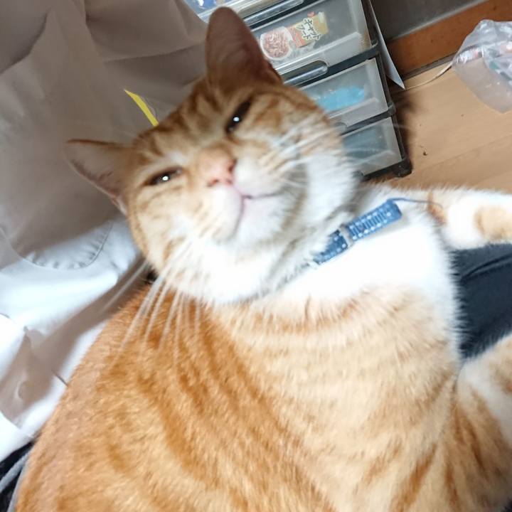 715b1741 6ac7 4d9b 8505 a1ddc3930105 1604130682682