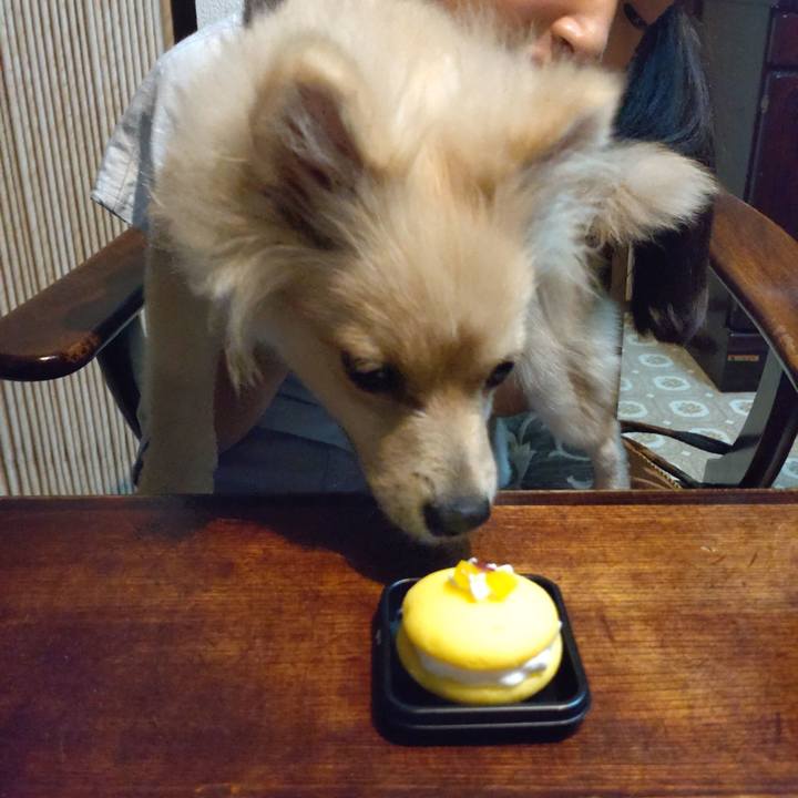 715b3901 f82f 476f 871d e7d97df6064c 1729387963553