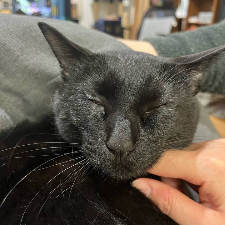 715b549e d069 48ae ae40 2a38b5d5d983 1679958943354