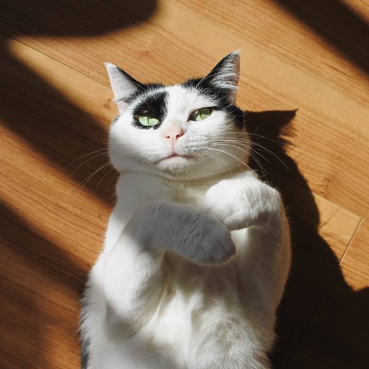 715b7ef9 5e8a 48f3 baf0 3f6047cb9af6 1586153623141