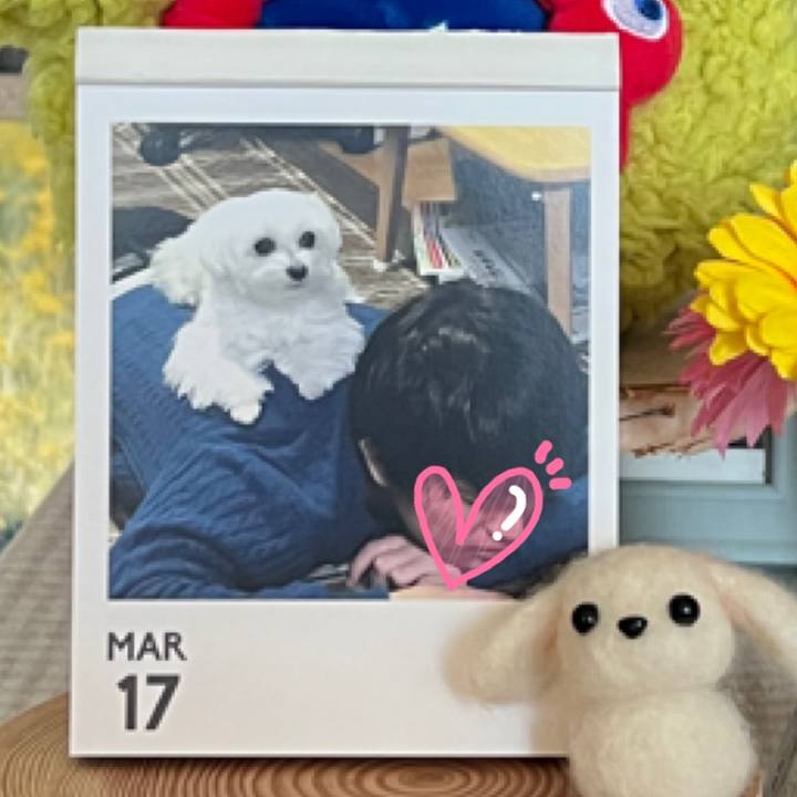 715b83a1 14d3 4df5 897f e0cbfe10b031 1773749132619