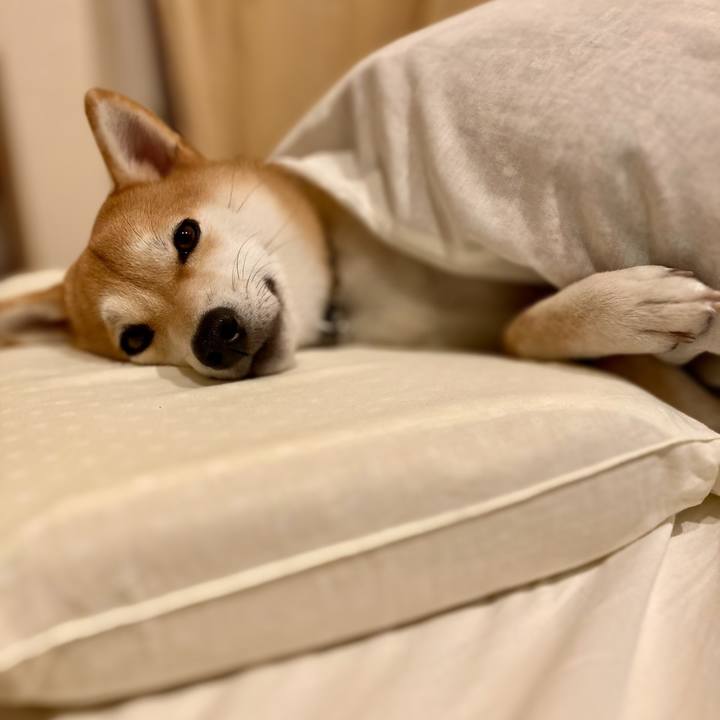 715bb64e bbcb 4c6d b2c9 98cdb3345f07 1669071349212