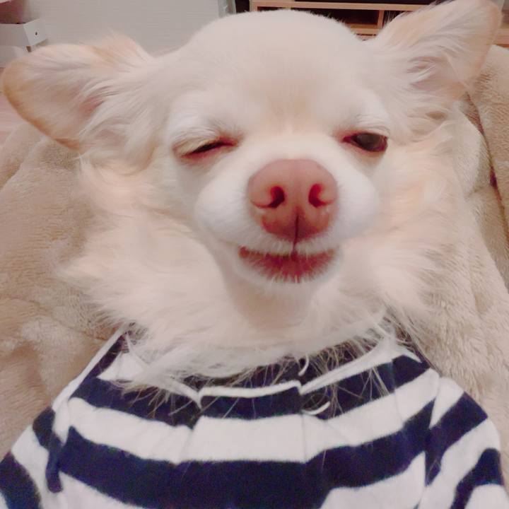 715bc93b ca3a 4572 8d7e 3a501697ab2d 1701681856858