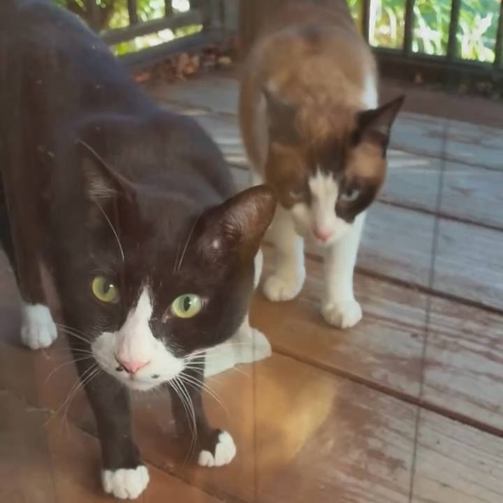 715be374 7fb3 4421 9276 a36b24a642c6 1753783319498