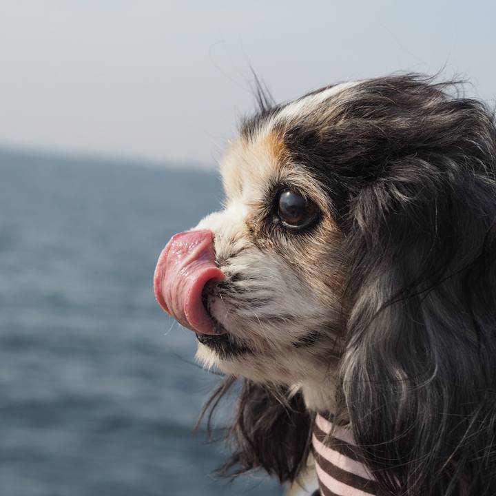 715c08a3 17c7 4cc4 be75 af554b315d00 1613223192968