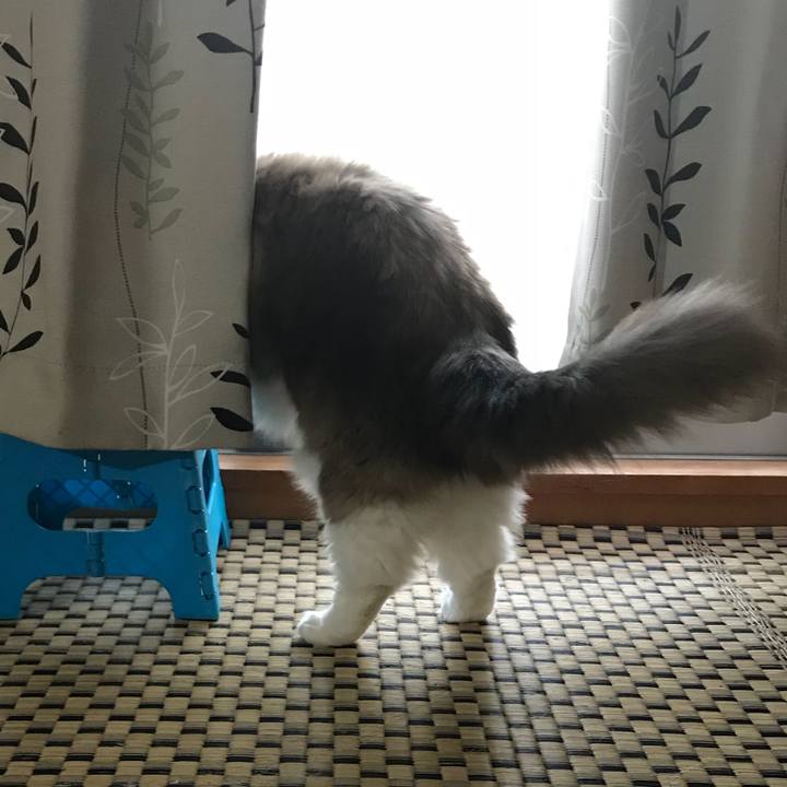 715c27d6 820d 4ef9 9fe4 852b42dd05b8 1514069342287