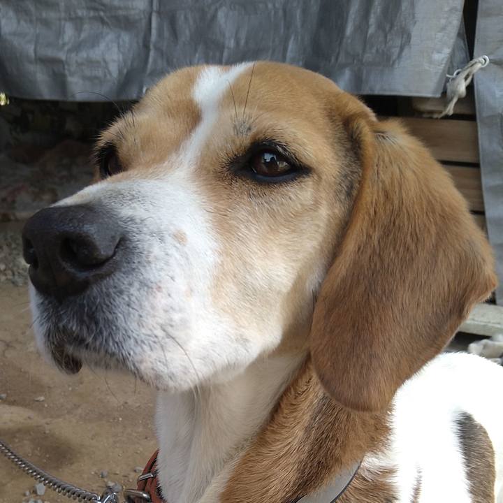 715c7d79 234a 4053 ad3d 01c50dfa2a2f 1648184833407