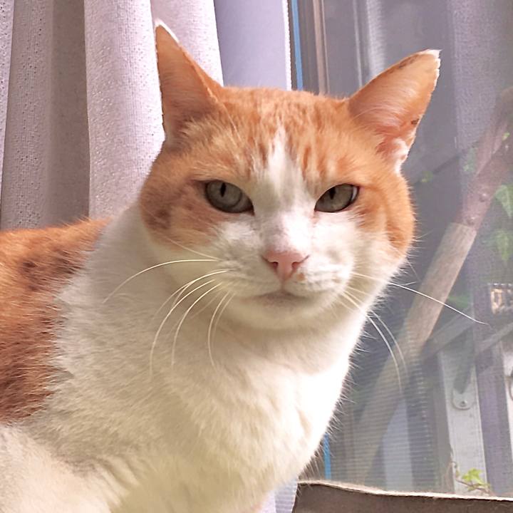 715c9fff 9709 46db a3ad e6465a130546 1579504427131