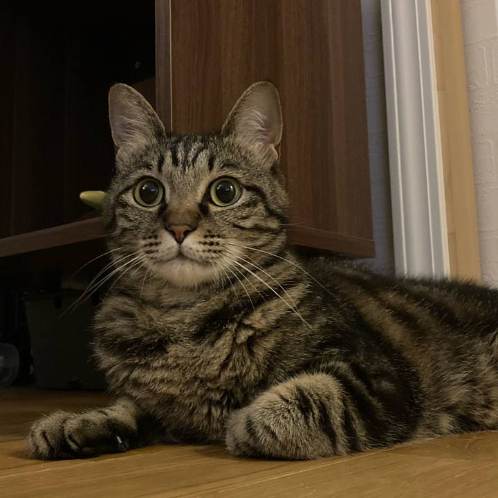 715d0222 0813 4bc2 82f8 228253144613 1657898436308