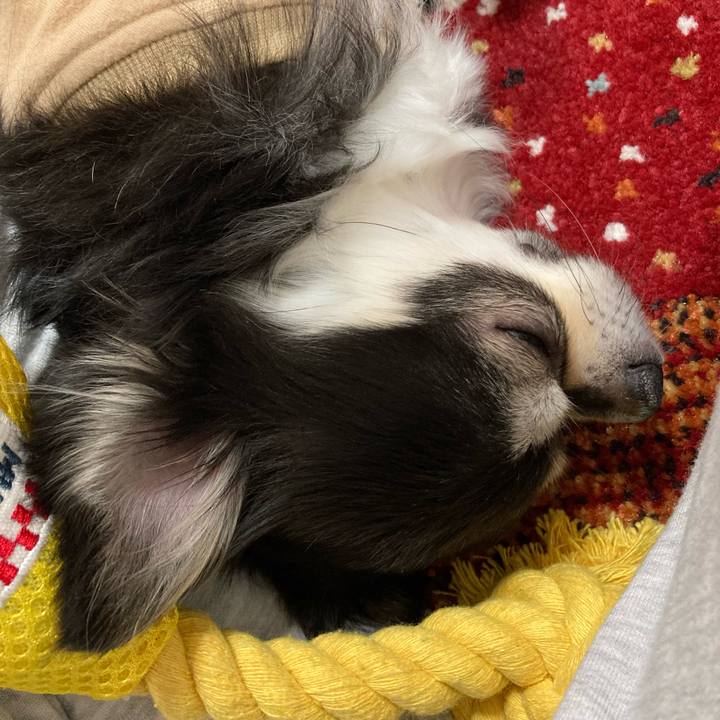 715d0e6d 8983 4143 92ea 6169c4f2b94b 1673709562627