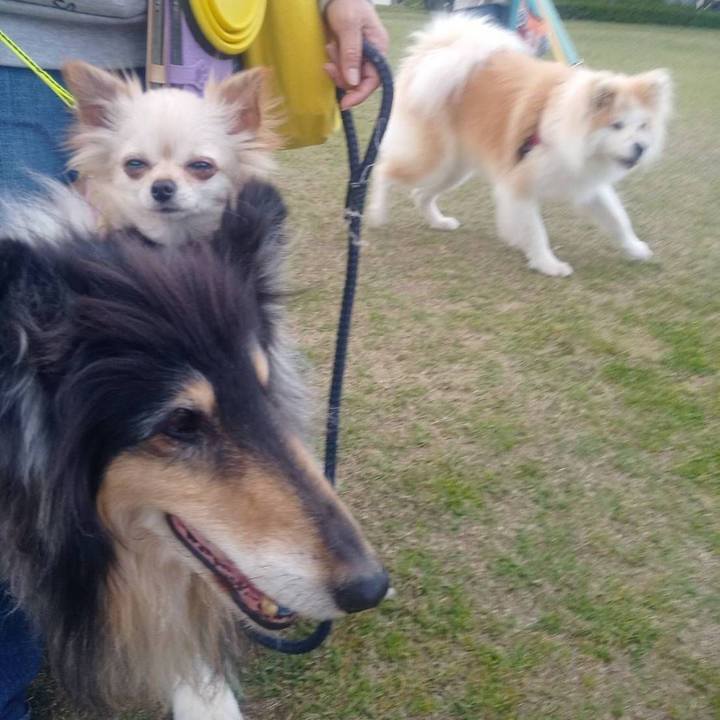 715d33e2 3d8f 412c 90c4 677e67a3bd6b 1619358181609